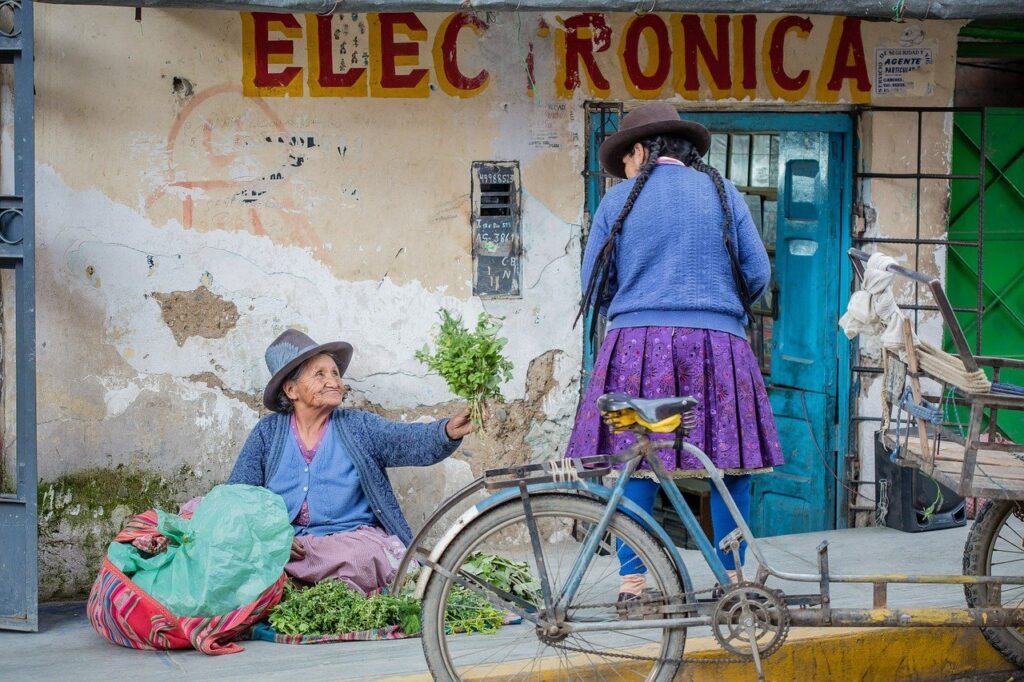 Pedro Castillo Peru Election